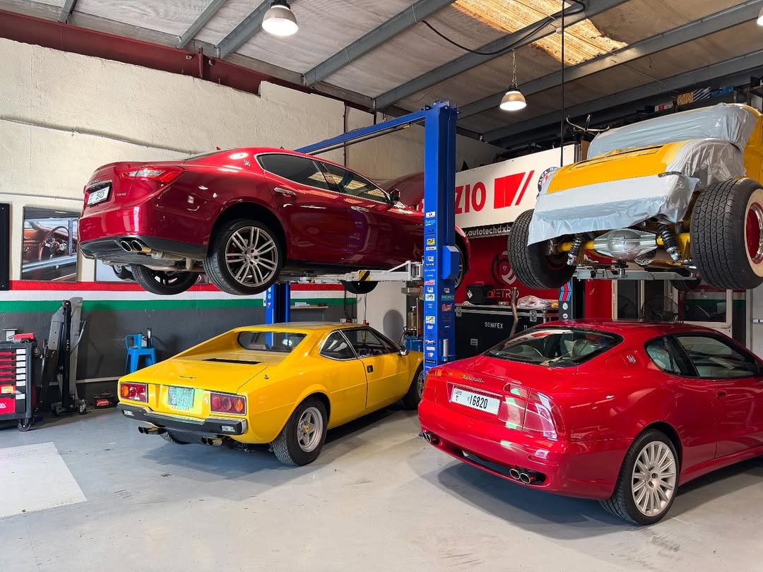 Classic Alfa Romeo collection including Spider in workshop